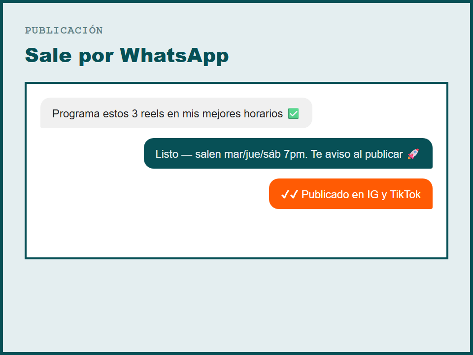 Referencia visual — Publicación